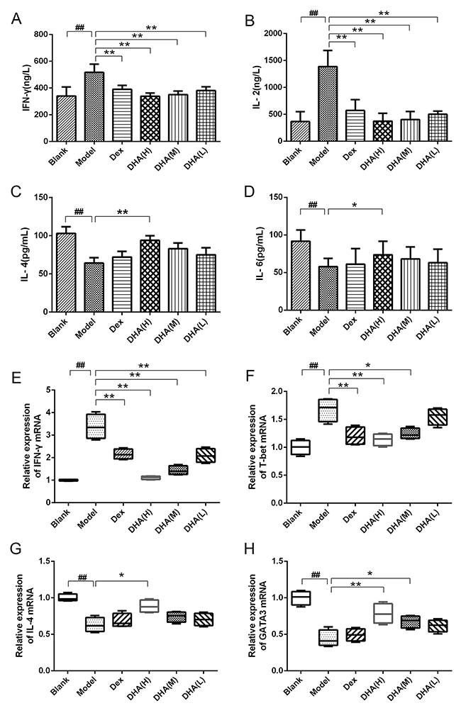 Effect of DHA on Th1/Th2 cytokine balance.