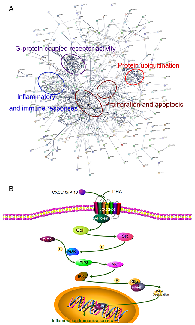 Figure 6: