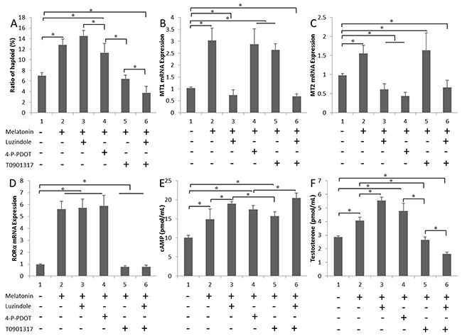 Effects of the melatonin treatment on testosterone secretion.