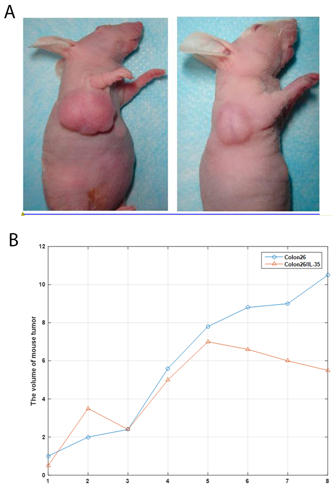 Figure 5: