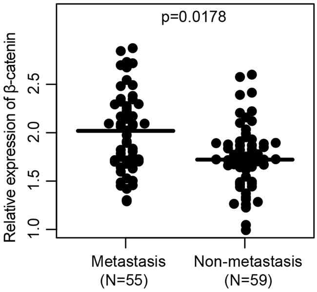 The relative expression of &#x03B2;-catenin in colon cancer tissues of patients with or without lymph node metastasis.