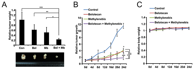 Methylenebis enhances the antitumor efficacy of belotecan in a xenograft mouse model.