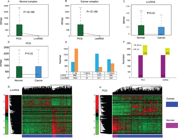 Expression profiles of PCG and lncRNA in cancer and normal samples.