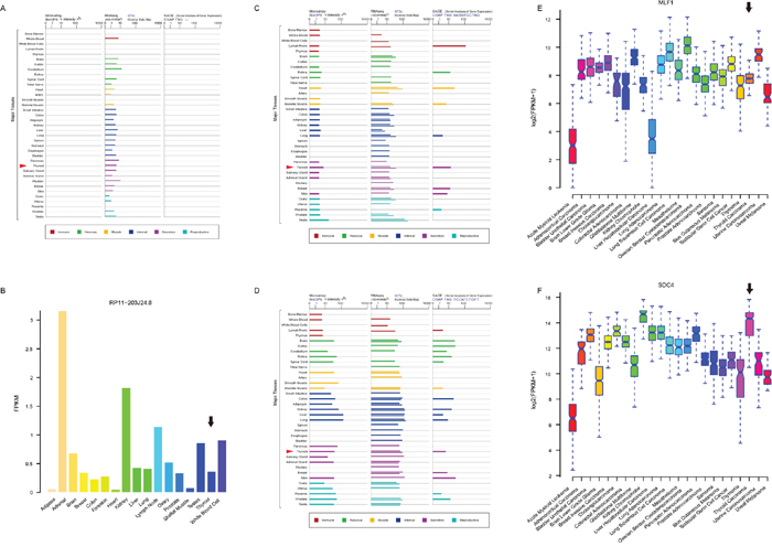 Expression profiles of four biomarker candidates in three public databases.