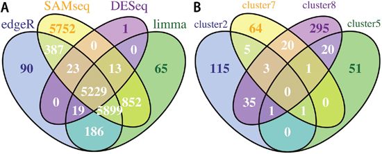 Identification of differentially expressed genes and co-expression modules.