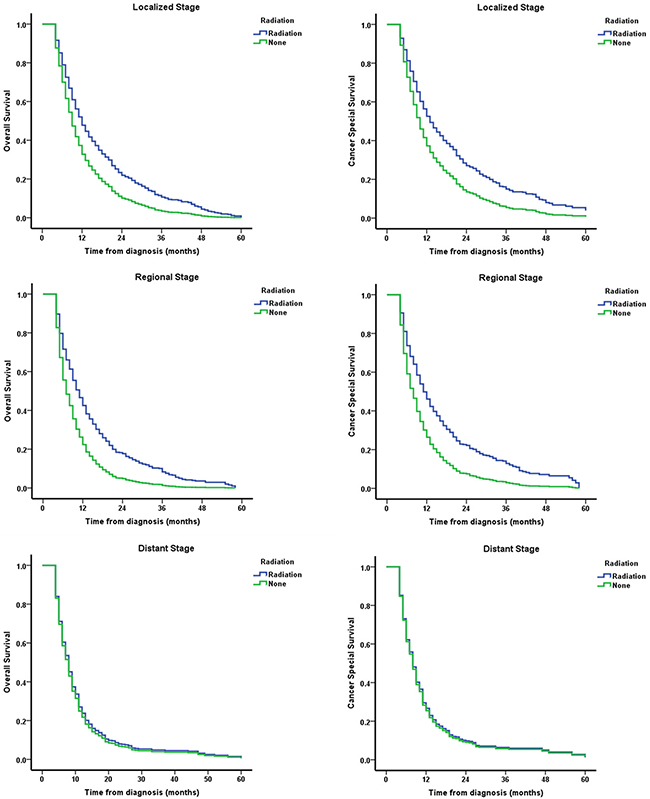 Survival curves of EC patients aged &#x2265; 80 stratified by different disease stages and adjusted for year of diagnosis.