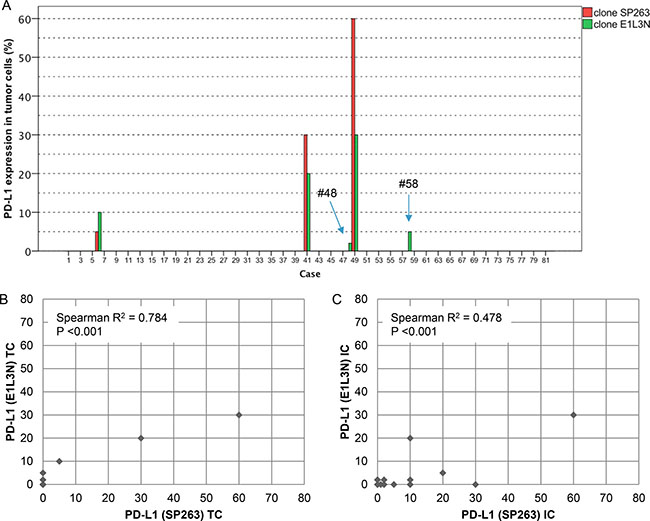 Direct comparison of anti-PD-L1 antibodies E1L3N and SP263.