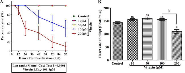 Effect of vitexin on embryonic development in zebrafish embryos for 96 hpf.