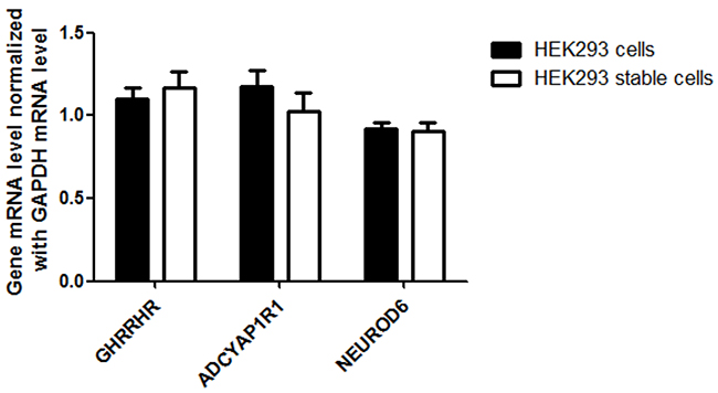 Detection of AQP1 downstream gene (GHRHR, ADCYAP1R1 and NEUROD6) expression in stable HEK 293 cells.