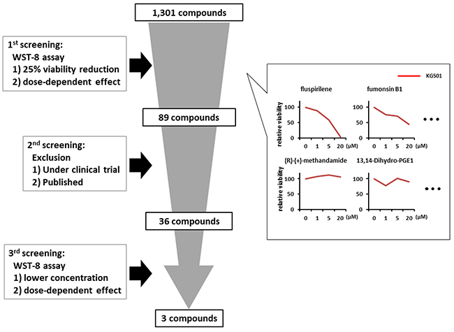 Schematic representation of the drug screening procedure.