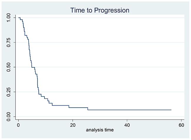 Kaplan&#x2013;Meier estimates for time to progression.