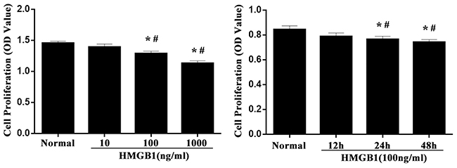The proliferative activity of Jurkat cells after HMGB1 stimulation.