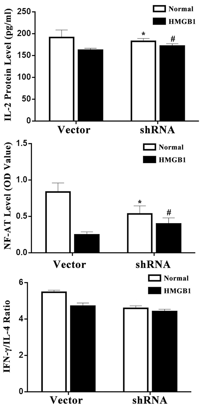 Effects of p53 on T-cell immune function induced by HMGB1.