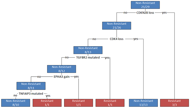 Decision tree for differentiating resistant from non-resistant patients.