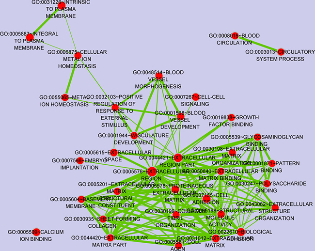 GO terms clustering via the enrichment map plugin of cytoscape software.