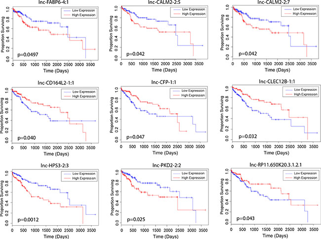 Association of lncRNA expression with patient survival.