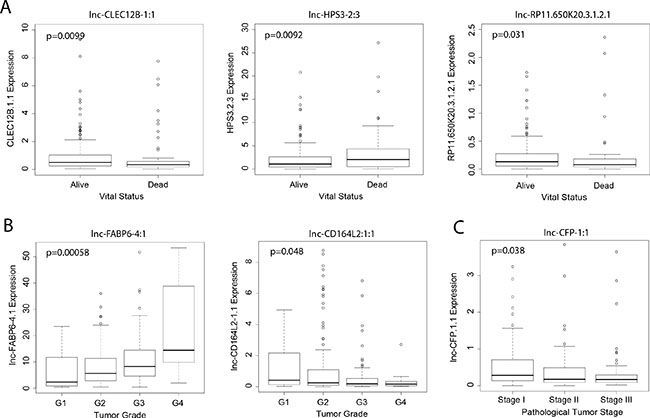 Association of lncRNA expression with clinical outcomes.