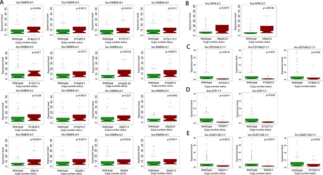 Correlation of lncRNA expression with copy number aberrations.