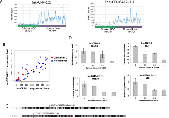 In vitro validation of alcohol-dysregulated lncRNAs in liver cell lines.