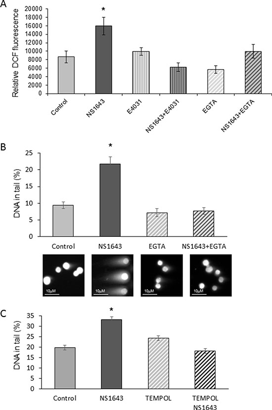 NS1643 generates reactive oxygen species (ROS) and DNA damage in a Ca2+-dependent manner.