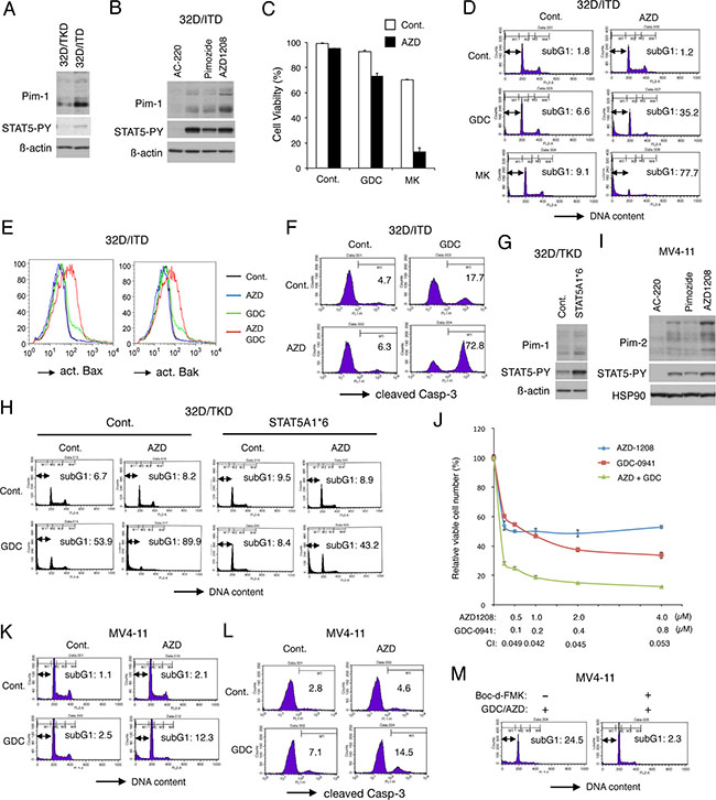 Inhibition of Pim kinases abrogates the resistance to PI3K/Akt pathway inhibitors conferred by robust STAT5 activation by FLT3-ITD.