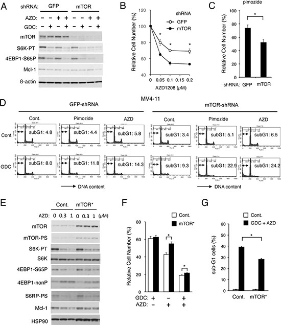 Apoptosis induced cooperatively by inhibitors for PI3K and Pim kinases is mediated through downregulation of mTOR.