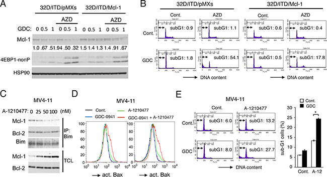Mcl-1 mediates the acquisition of resistance to PI3K inhibition downstream of Pim kinases in FLT3-ITD-expressing cells.