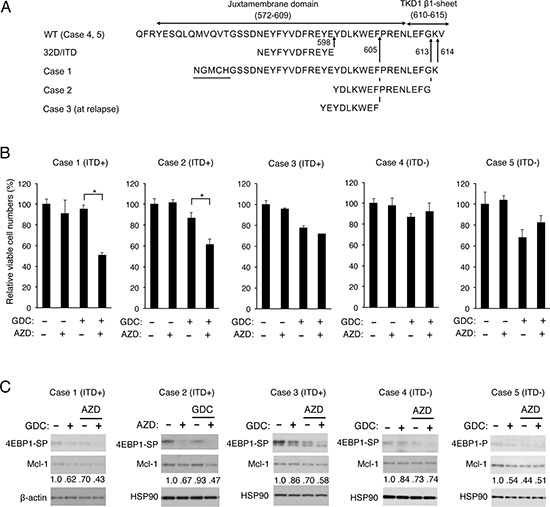 Inhibition of Pim kinases and PI3K cooperatively reduced Mcl-1 expression and viable cell numbers of some primary AML cells expressing FLT3-ITD.