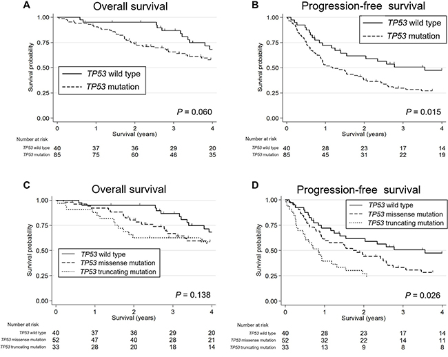 Kaplan-Meier survival curves of patients with salivary duct carcinoma stratified by their TP53 status.