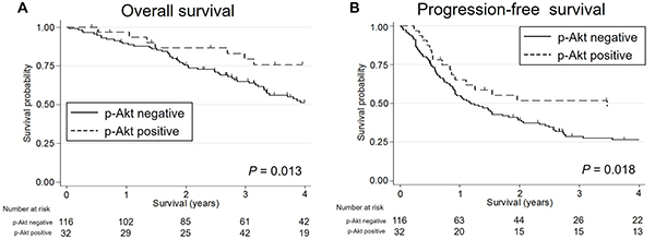 The Kaplan-Meier survival curves for patients with salivary duct carcinoma stratified by the p-Akt expression status.