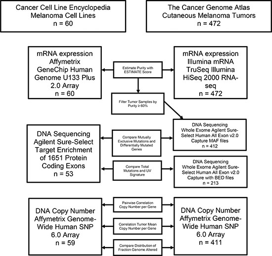 Flow chart outlining the analysis pipeline and samples included in each comparison.