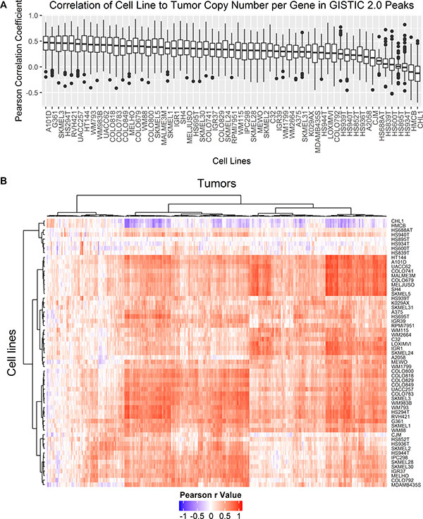 Pearson correlation coefficients of copy number per gene were compared between cell lines and tumors for genes falling within GISTIC 2.0 peak focal amplifications and deletions detected in metastatic tumor samples.