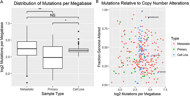 The mutational burden was compared between tumors and cell lines.