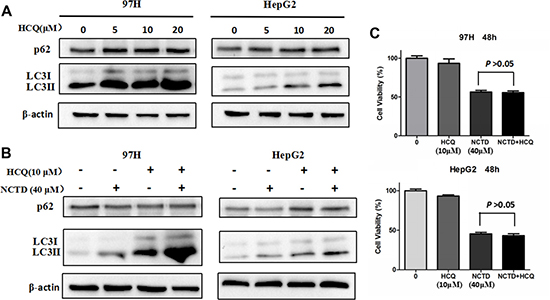 Inhibition of autophagy does not mitigate the cytotoxic effect of NCTD.