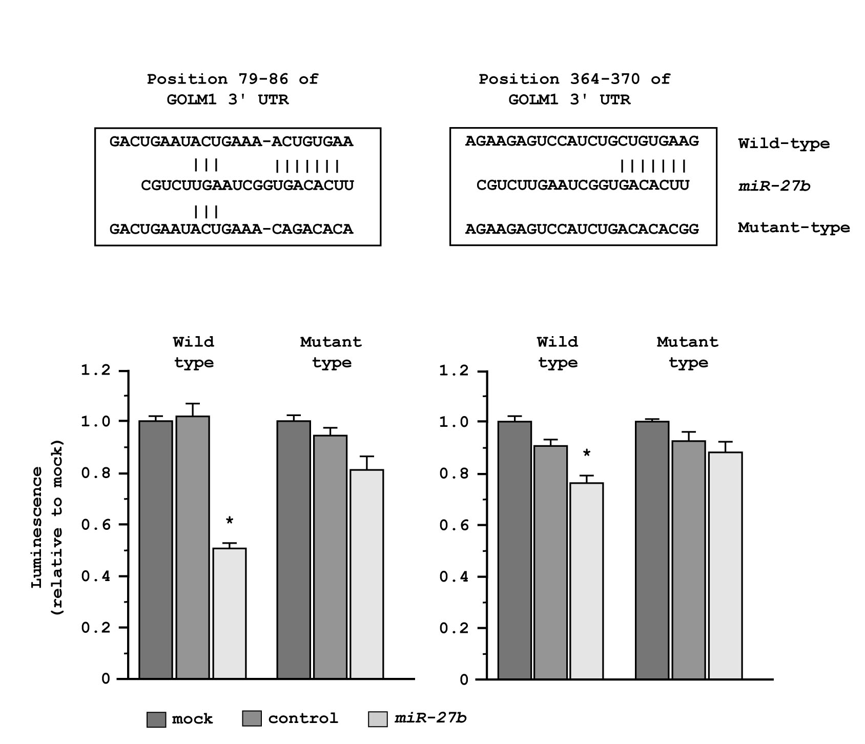 Regulation of GOLM1 expression by