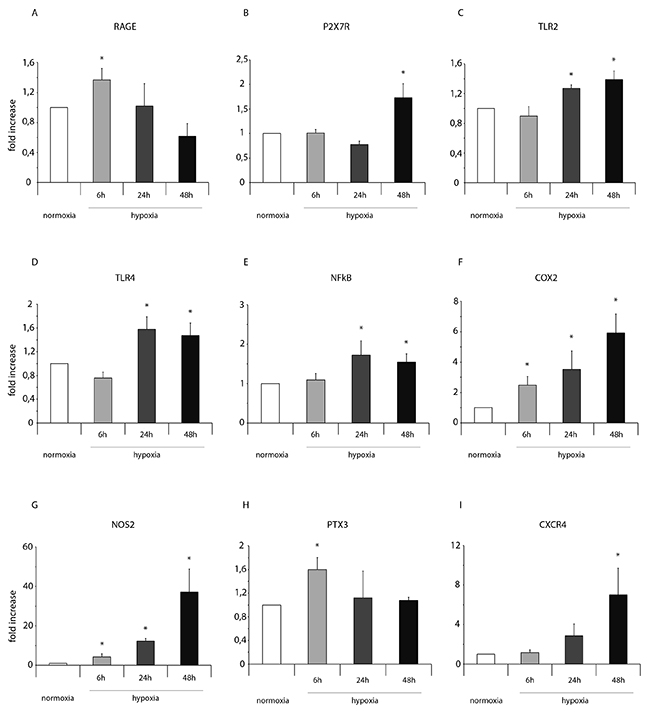 Hypoxia enhances mRNA expression of NFkB and markers of the NFkB-dependent inflammatory and reparative response in ckit+CSCs.