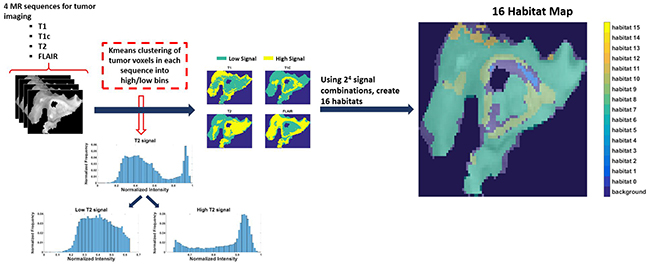 The process of generating 16 spatial habitats.