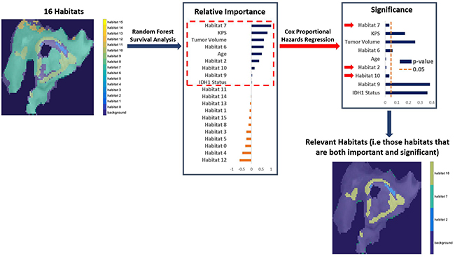 The process of finding important and significant (designated &#x201C;Relevant&#x201D;) habitats.