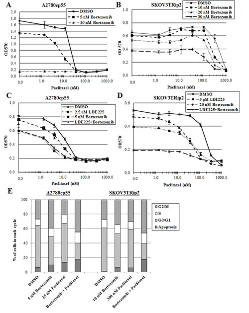 Bortezomib increases paclitaxel sensitivity in chemoresistant ovarian cancer cells.