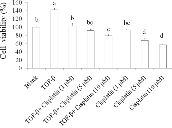 The effects of TGF-beta on chemoresistance in SKOV-3 cancer cells.