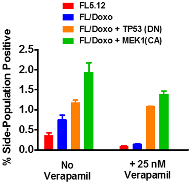 Presence of side-positive cells in FL5.12, FL/Doxo, FL/Doxo + TP53 (DN) and FL/Doxo + MEK1 (CA) cells.
