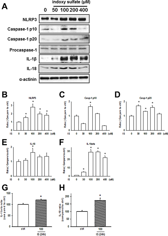 Uremic toxin effects on the inflammasome regulation in H9c2 cells.