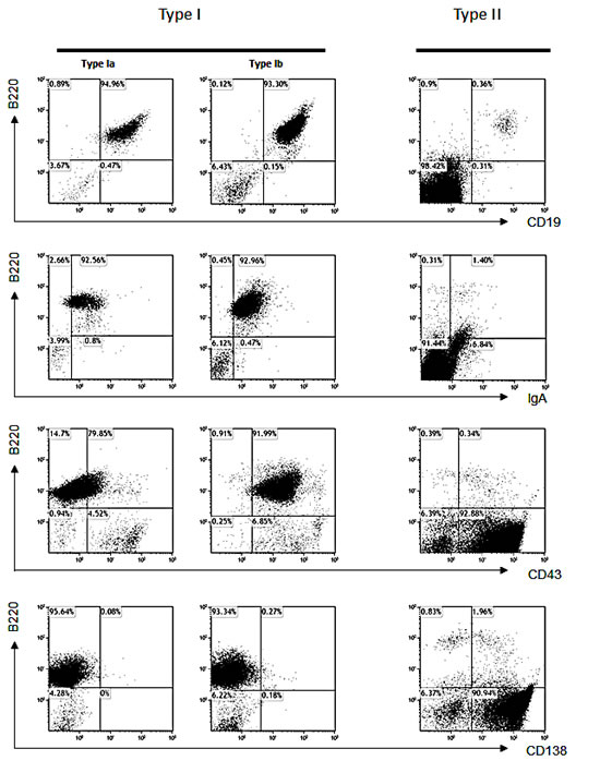 Analysis of lymphomas in &#x3b1;1KI