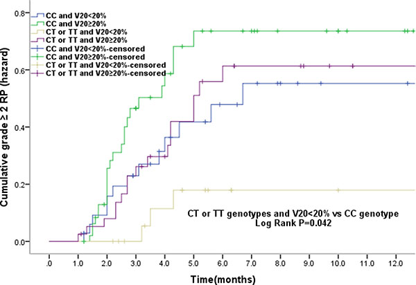 The effects of single nucleotide polymorphism at ERCC1 T354C with volume of normal lung receiving 20Gy or more radiation (V20) &#x003C; 20% the cumulative incidence of grade &#x2265; 2RP.