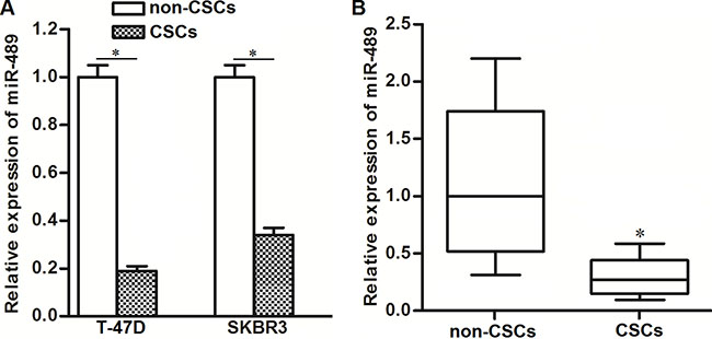 Expression of miR-489 was decreased in BCSCs.