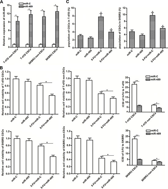 Overexpression of miR-489 decreased the resistance of BCSCs to 5-FU treatment.