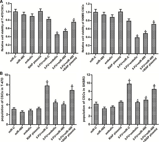 MiR-489 decreased the expression of XIAP to sensitize BCSCs to 5-FU treatment.