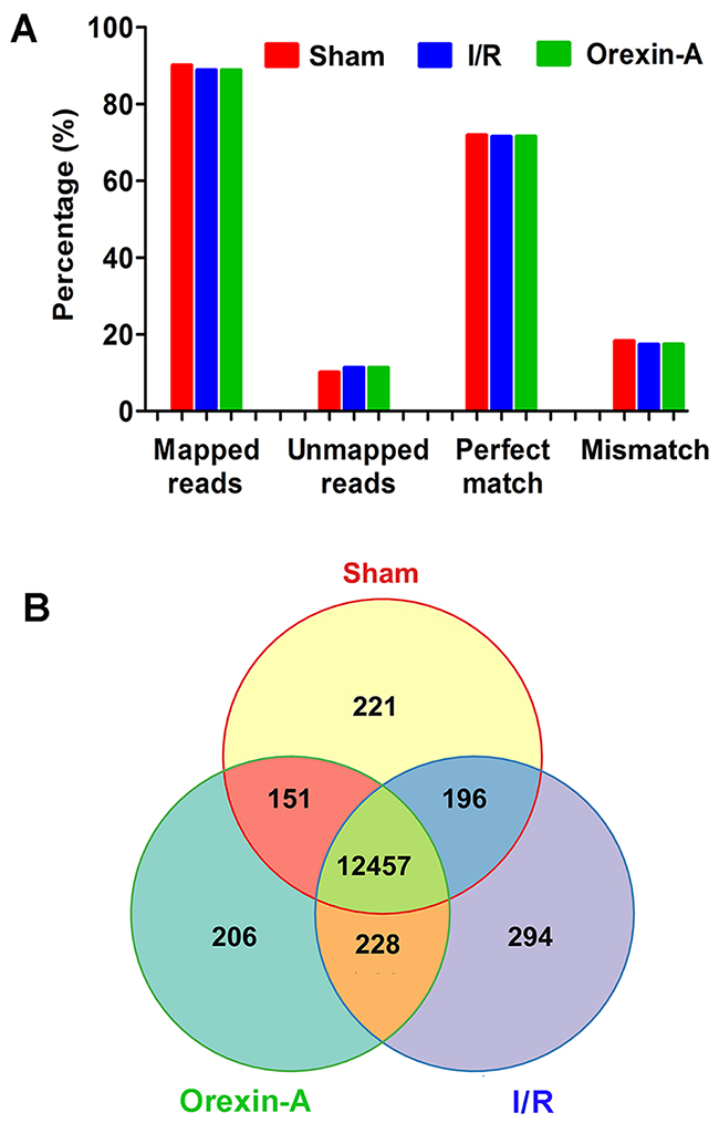 Analysis of global gene expression using RNA-seq data.