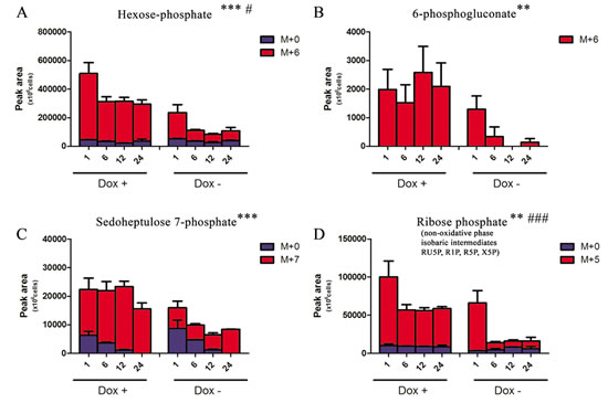 Effect on Pentose Phosphate Pathway.