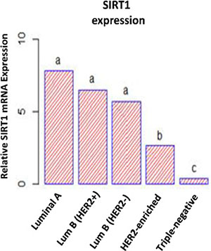 Differential SIRT1 mRNA expression patterns in breast tumors.